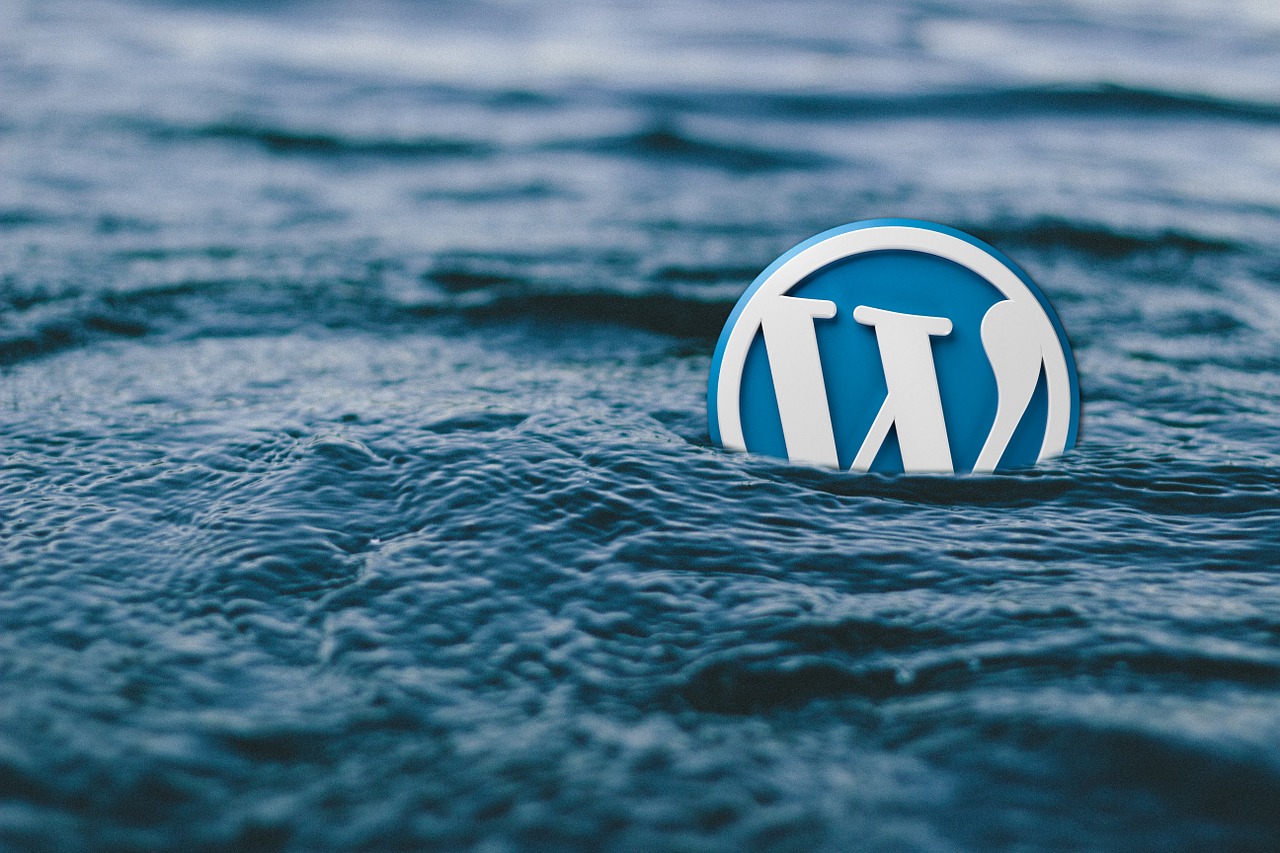 WordPress : liste de 25 points de sécurisation.